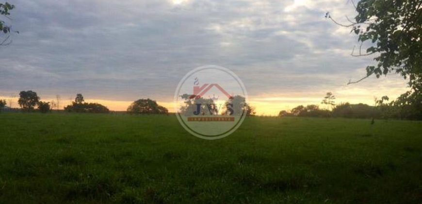 VENTA FINCA LAS FERNANDAS
