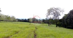 VENTA FINCA LAS FERNANDAS