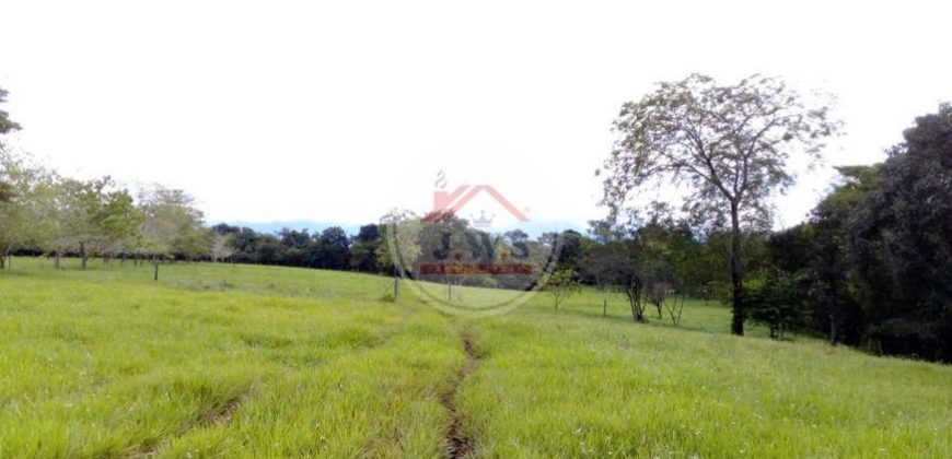 VENTA FINCA LAS FERNANDAS