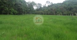 VENTA FINCA LAS FERNANDAS