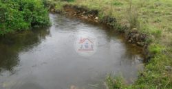 VENTA FINCA LAS FERNANDAS