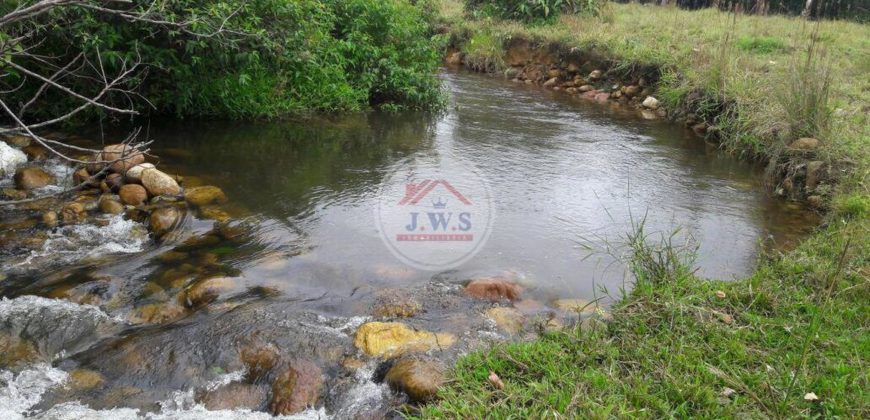VENTA FINCA LAS FERNANDAS