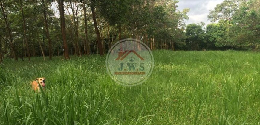 VENTA FINCA LAS FERNANDAS