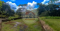FINCA EN VENTA FINCA EN VENTA