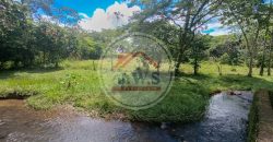 FINCA EN VENTA FINCA EN VENTA
