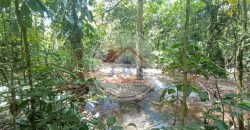 FINCA EN VENTA FINCA EN VENTA