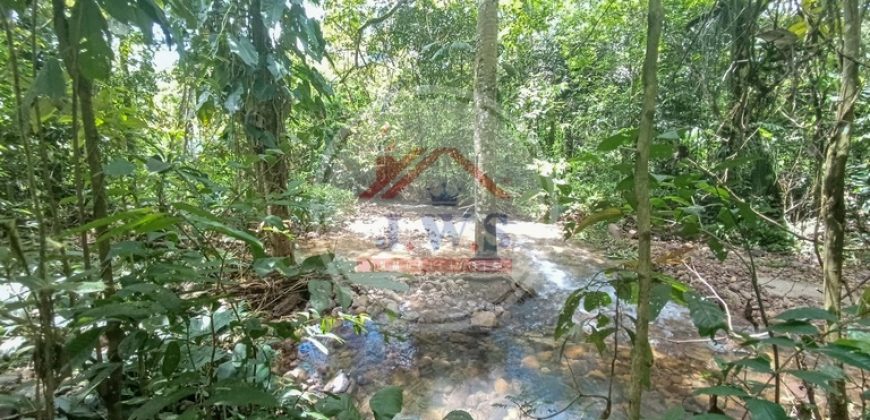 FINCA EN VENTA FINCA EN VENTA