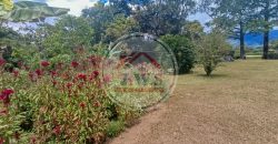 FINCA EN VENTA FINCA EN VENTA