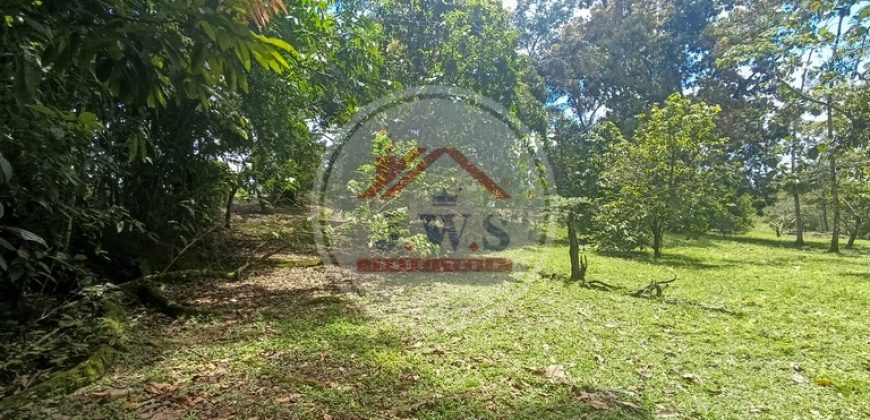 FINCA EN VENTA FINCA EN VENTA