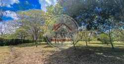 FINCA EN VENTA